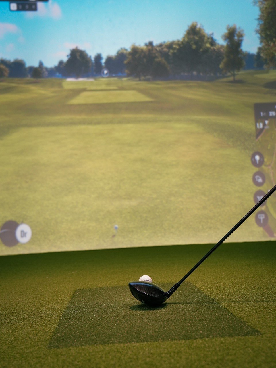 Driver Behind Ball on Simulator